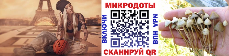 цена   Джанкой  гидра как зайти  Псилоцибиновые грибы GOLDEN TEACHER 